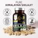 Pure Himalayan Shilajit Supplement for Men and Women, 40,000MG, Max Strength Contains 50% Fulvic Acid with Over 85 Trace Minerals to Support Energy, Brain and Immunity, 120 Veg Caps - Buy Online on GoSupps.com