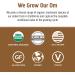 Om Mushrooms Coffee Latte Blend - 10 Packets (0.28 oz Each) | Mushroom Powered Energy Boost - Buy Online on GoSupps.com
