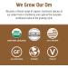 Om Mushroom Superfood Coffee Latte Blend Mushroom Powder Single Serve 10 Count Lion's Mane Cordyceps Reishi Chaga Energy & Mental Clarity Support Supplement (Pack of 2) - Buy Online on GoSupps.com