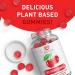 Organic Tart Cherry Gummies - Vegan Cherry Extract Supplement for Joint Support - 60 Veggie Gummies - Buy Online on GoSupps.com