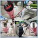 Adjustable Dog Seat Belt for Car Safety - Universal Fit Red Dog Belt with Locking Rod - Buy Online on GoSupps.com