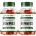 (2 Pack) Bliss Bites Gummies Official Bliss Bite Gummy Formula Reviews 60 Gummies for 2 Months