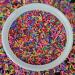 LIKETURE Fake Sprinkles 110g Non-edible Polymer Clay Sprinkles Faux Sprinkle Plastic Sprinkles for Craft Sprinkles Decoration for Resin Filler Slime Add ins Slime Mixed in Shaker Card (Mixed Color)