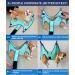 Kkiimatt Pet Care Hammock Harness for Small Dogs | Dog Care Hammock with Nail Clipper & Hooking Mat - Medium (Max 16 kg) - Turquoise - Buy Online on GoSupps.com