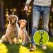 Reflective Double Dog Lead Splitter | Dual Leash for Walking 2 Dogs | 360 Swivel Rotation | Grey - Buy Online on GoSupps.com