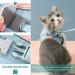 Shop Geeric Cat Dishes & Escape-Proof Harness Set | Adjustable Cat Dishes for Small Cats | Leash-Friendly Cat Accessories in Pink & Blue - Buy Online on GoSupps.com