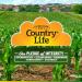 Country Life Omega 3 Mood Support - Natural Lemon Flavor - 180 Softgels - Buy Online on GoSupps.com
