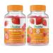 Lifeable Probiotic 2 Billion CFU + B Complex Gummies Bundle - Great Tasting Vitamin Supplement Gluten Free GMO Free Chewable Gummy
