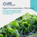Buy Life Extension Optimized Fucoidan with Maritech 926 - 60 Vegetarian Capsules - Buy Online on GoSupps.com