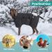 Pettom Dog Bathrobe | Extra Absorbent Microfiber Dry Coat for Medium-Sized Dogs (S Gray) - Fast Drying Dog Bumper - Buy Online on GoSupps.com