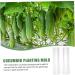 Toddmomy Horticulture 9 pcs Gardening Strawberry Ovens Cucumber Plastic Grow Heart Star Alien Modeling Fruit - Buy Online on GoSupps.com