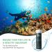 RUNBO Ammonia Test Strips - 50pcs Aquarium Water Testing Kit for Freshwater & Saltwater Fish Pond - Buy Online on GoSupps.com