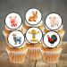PRECUT Farm Animal Cupcake Toppers Petting Zoo Edible Mini Cake Decorations Edible Woodland Animals Party Decorations Farmer Cupcake Decoration Farm Animal Cake Topper (48) - Buy Online on GoSupps.com