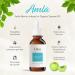 Organic Amla Oil - Cold Pressed, Premium Quality, 60ml - Hair Growth & Rejuvenation Formula - No Mineral Oil or Chemicals - Buy Online on GoSupps.com