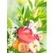 RED APPLE EAU DE PARFUM POUR FEMME 3.4 FL. OZ. Floral Fruity fragrance for women. - Buy Online on GoSupps.com
