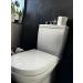DUMP ZONE Toilet Freshening Powder Natural Ingredients Lemon Scent 2 x 100gm - Buy Online on GoSupps.com