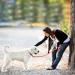 Tag Trag Leash for Dogs - Waterproof 10m Drag Line with Handle & D-Ring - Easy to Clean Training Line for Small & Medium Dogs - Orange - Buy Online on GoSupps.com