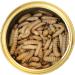 Exotic Nutrition Canned Wax Worms 35 g/ 1.2 oz (6 Pack) - Buy Online on GoSupps.com
