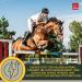 Rice Germ Oil Flaxseed Oil Amino Acids 2*1L 30ml for Horses Plus Vitamin E + Amino More Complex Muscle Building Selenium Free Lysine Replenishing Food Supplement - Buy Online on GoSupps.com