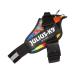 Julius-K9 IDC Powerharness Size: L/1 Crazy Crazy L/1