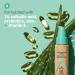 Almay Clear Complexion Acne Foundation 600 Sun Beige - Lightweight, Medium Coverage, Salicylic Acid, Hypoallergenic, Fragrance-Free - Buy Online on GoSupps.com