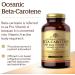 Solgar Oceanic Beta Carotene 25 000 IU - 180 Softgels | Premium Antioxidant Supplement - Buy Online on GoSupps.com