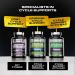 Iron Labs Nutrition Cycle Support - On Cycle Support Supplements for Men - 120 Capsules - Milk Thistle and Saw Palmetto - 1 Pack - Buy Online on GoSupps.com