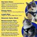 Reflective Travel Cat Harness and Leash Set - Lightweight & Breathable - Snug Fit for True Adventurers - Strong Snap Clip - Large Grey - Buy Online on GoSupps.com