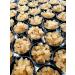 GENEROUS Portion Cup 33% MORE Live Florida Sun Kefir LARGE HEALTHY Water Kefir Grains (Tibicos) Natural Probiotics - Buy Online on GoSupps.com
