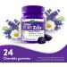 ZzzQuil PURE Zzzs Melatonin Gummies Sleep Aid Melatonin 2mg with Chamomile & Lavender Melatonin Sleep Gummies Sleep Aids for Adults Wildberry Vanilla Flavored 24 Sleep Gummies Wildberry Vanilla 24 count (Pack of 1) - Buy Online on GoSupps.com