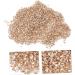 FRCOLOR 1 Nail Gravel Accessories for Lithops Nail Accessories Diamond Drawing Charms Nail Art Decors Crushed Decor for Nail Art Nail Art Supplies Irregular Nail Charms Glass 20.00X12.00X2.00CM Golden - Buy Online on GoSupps.com