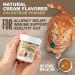 Colostrum Probiotic Powder for Cats | Allergy & Immune Support | Skin & Coat Relief | Made in USA | 1.55oz - Buy Online on GoSupps.com