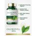Carlyle Chlorophyll Pills - 90 Capsules, Natural Pigment Supplement - Non-GMO, Gluten-Free - Buy Online on GoSupps.com