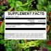 PlantFusion Vegan Vitamin D3 2000IU | Organic Vitashine Plant Based Lichen | Immune & Bone Health | 60 Tablets - Buy Online on GoSupps.com