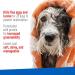 Adams Plus Flea & Tick Shampoo with Precor for Cats, Dogs & Puppies - 1 Gallon | Sensitive Skin Formula | Kills Adult Fleas, Eggs, Ticks, Lice | For Pets Over 12 Weeks - Buy Online on GoSupps.com