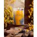 IZIDDO Colourful Scented Candles | Blackcurrant & Vanilla Aromatherapy | 15oz Long Lasting Handmade Candles for Home | Ideal Fall & Holiday Gifts for Women - Buy Online on GoSupps.com