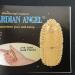 Magic Power Grip Acupressure Hand Massager with Magnetic Therapy - Guardian Angel - Buy Online on GoSupps.com