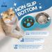 Double Slow Feeder Dog Bowl | Raised Non-Slip Stainless Steel Cat Food & Water Bowl | Detachable Blue Cat Bowl - Buy Online on GoSupps.com
