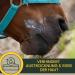 Zinc Ointment for Wounds | Healing Cream for Horses Dogs & Cats | Anti-Inflammatory Zinc Oxide - 2x250ml - Buy Online on GoSupps.com