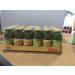 Pago Pago apricot juice cl 20 x 24 glass bottles of fruit juice