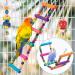 Ciciglow Colorful Bird Swing Toys - Parrot Swing with Stainless Steel Chain Ladder Bells & Balls - Ideal for Birds - Buy Online on GoSupps.com