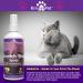 KinderPet Eco Anti Cat Scratch Deterrent Spray Protect Furniture Stop Cats Kittens Scratching Doors Carpets Walls Cruelty Free Pet Safe 250ml - Buy Online on GoSupps.com