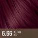 Alfaparf Milano Il Salone Plex Rebuilder Color Kit 6.66 Rouge Intense - coloration permanente en cr me - Buy Online on GoSupps.com