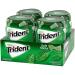 Trident Unwrapped Spearmint Sugar Free Gum  4 Bottles of 50 Pieces (200 Total Pieces) Spearmint 50 Count (Pack of 4) - Buy Online on GoSupps.com