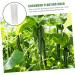 Happyyami 10 Pcs Vegetable Shaping Cucumbers Cucumber Styling Fruits Shaping Modeling Suite - Buy Online on GoSupps.com