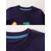 Boys Dinosaur Sweatshirt | Kids Cotton Jumper | Long Sleeve Pullover | Toddler Girls Baby Clothes | 5-6 Years - Buy Online on GoSupps.com