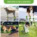 AQH Dog Shoes - 4 Breathable Boots with Reflective Straps | Microfiber Leather Rubber Sole | Paw Protection (Size C 8#) - Buy Online on GoSupps.com