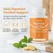 Elava Papaya Seed Capsules Papaya Seeds Organic Digestive Herbal Blend with Turmeric Ginger Peppermint & Fennel Non-GMO Gluten & Lactose Free 60 Capsules 1 - Buy Online on GoSupps.com