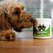 NutriPaw Calming Treats For Dogs - Reduce Stress Fear Separation Anxiety Barking Hyperactivity Reactivity Aggression Travel Issues - Relaxation without Drowsiness dogs Single Pack - Buy Online on GoSupps.com
