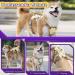 Multi-Purpose Dog Harness for All Sizes - Outbreak-Proof with Leash Set | Ideal for Small Medium & Large Dogs - Yellow (L) - Buy Online on GoSupps.com